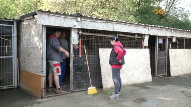 Menhelysegt napot hirdetett a Fekete Istvn llatvd Egyeslet