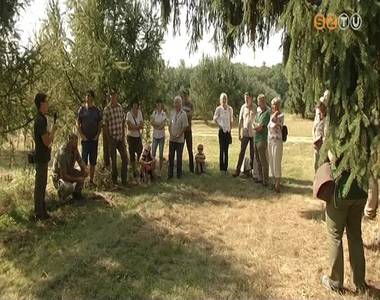 A kl�mav�ltoz�s strat�giai �sszef�gg�sei