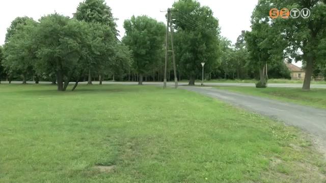 Már ősszel elkezdődhet az 1000 fa telepítési program Szombathelyen Már ősszel elkezdődhet az 1000 fa telepítési program Szombathelyen