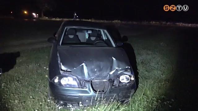 Ősszel mindig megszaporodnak a vadbalesetek Ősszel mindig megszaporodnak a vadbalesetek