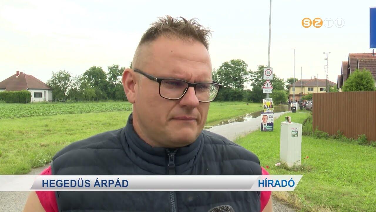 Több százan vettek részt a Zseboroszlán családi PICnikjén Több százan vettek részt a Zseboroszlán családi PICnikjén