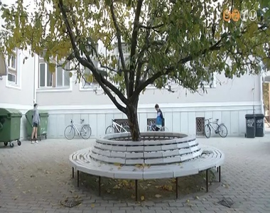 Int�zm�ny fel�j�t�sok