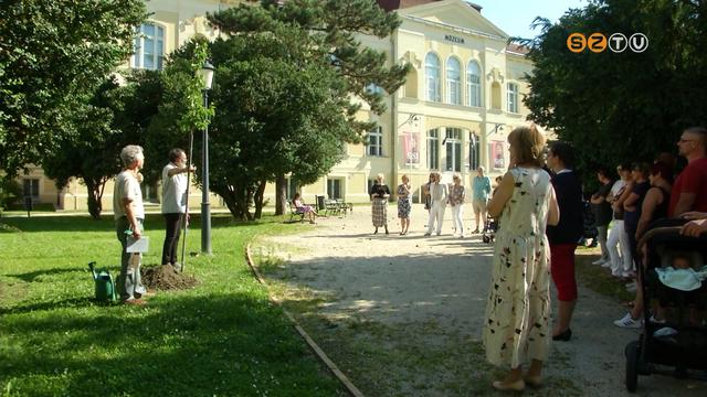 Sisi királyné tiszteletére fát ültettek a múzeumkertben Sisi királyné tiszteletére fát ültettek a múzeumkertben