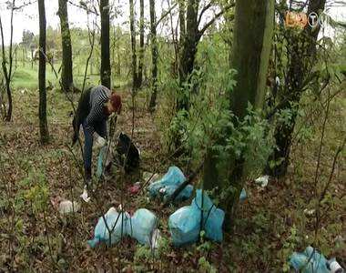 K�z�s szem�tszed�s a parkerd�ben