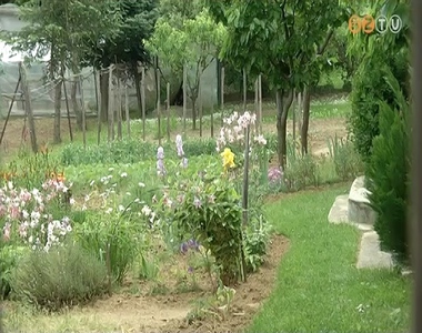 Egyre n�pszer�bb a Parkerd� a szombathelyiek k�r�ben