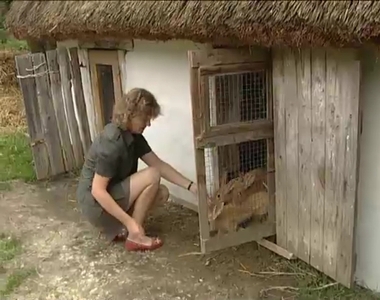 Kisállatvásár a falumúzeumban