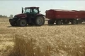 Kiváló minőségű búzát arattak
