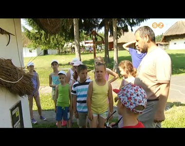 �ri�si terhet vesznek le a sz�l�k v�ll�r�l a ny�ri id�szakban a k�l�nb�z� t�borok